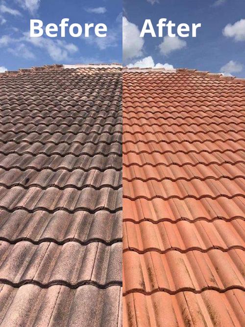 Before and after picture of softwashing